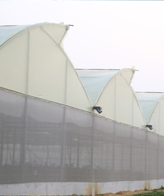 OVPH Polyhouse